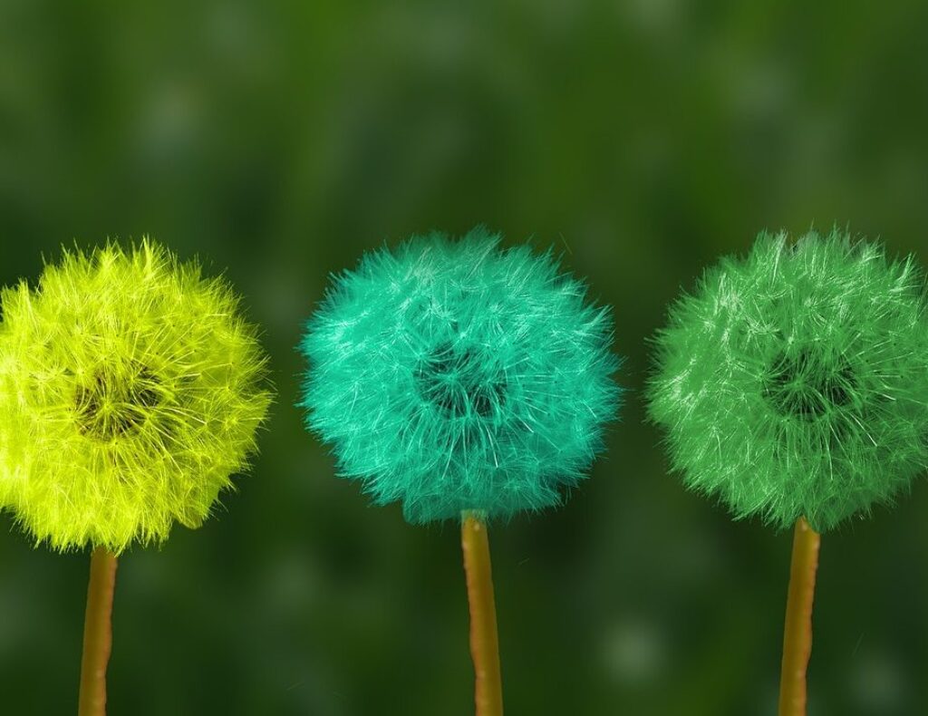 Welcome to Kaafi Counseling Blog